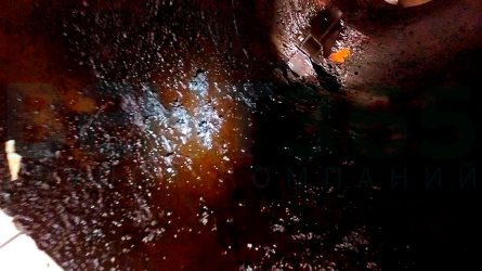 �������������� ����� �� ������� ����