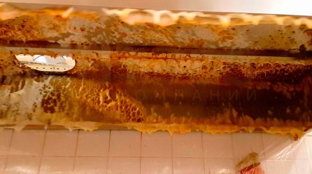 ������� ������������� ������� ��������� ����