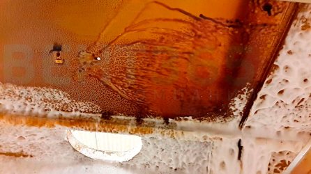 ��������� ������� �������� � ���� ���� ����