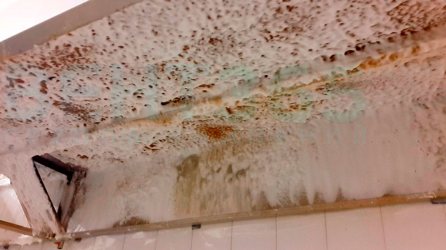 ��������� ������� �������� � ���� ���� ����