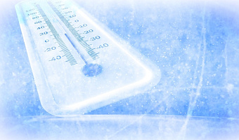 ������������ ������������� �����