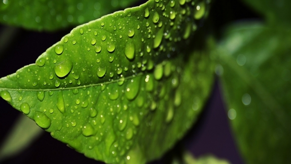 ������� ���������� � ���������� �������